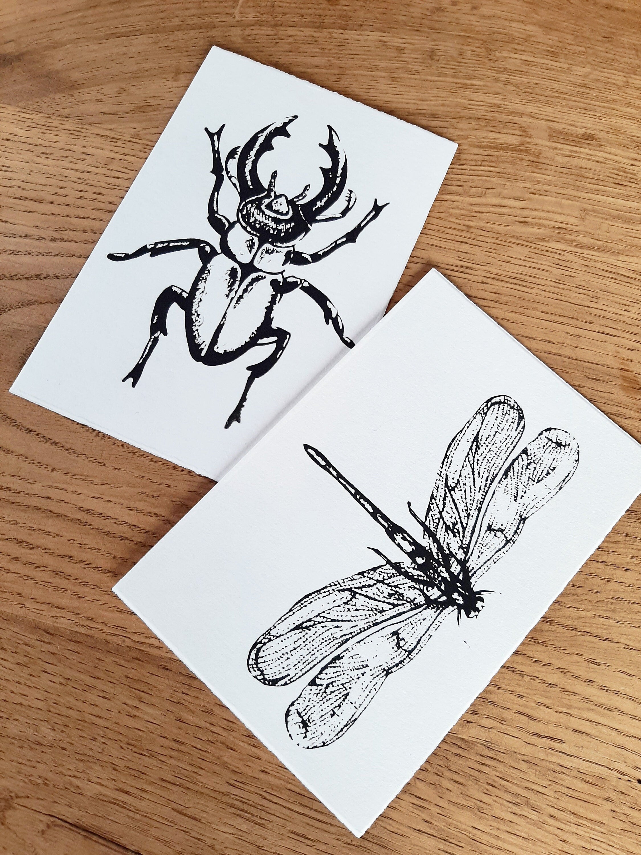 Edle Büttenpapier-Postkarten mit Libelle / Hirschkäfer, handbedruckte Unikate Siebdruck, 2er Set Klappkarten mit Briefumschlägen