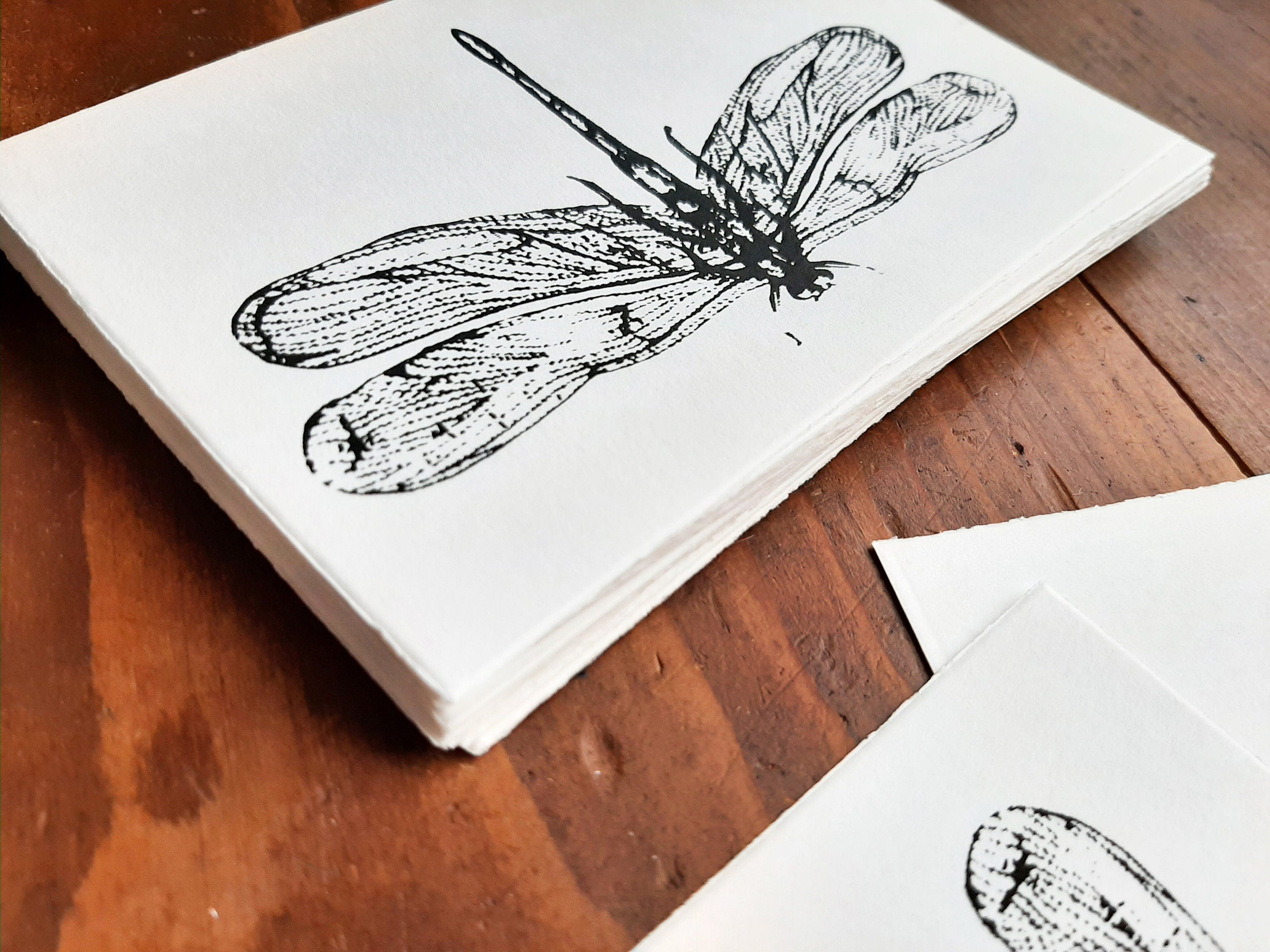 Edle Büttenpapier-Postkarten mit Libelle / Hirschkäfer, handbedruckte Unikate Siebdruck, 2er Set Klappkarten mit Briefumschlägen