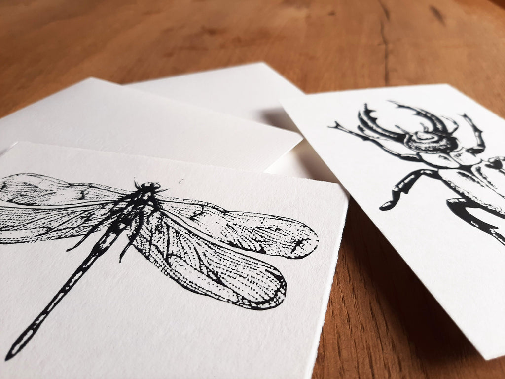 Edle Büttenpapier-Postkarten mit Libelle / Hirschkäfer, handbedruckte Unikate Siebdruck, 2er Set Klappkarten mit Briefumschlägen