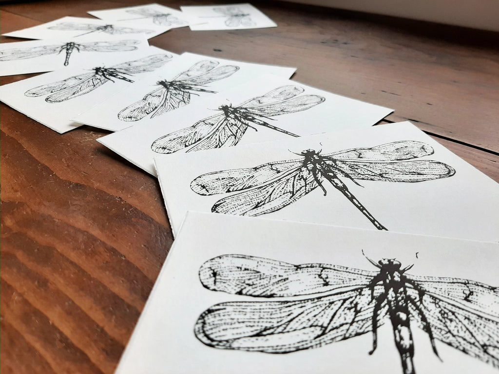 Edle Büttenpapier-Postkarten mit Libelle / Hirschkäfer, handbedruckte Unikate Siebdruck, 2er Set Klappkarten mit Briefumschlägen