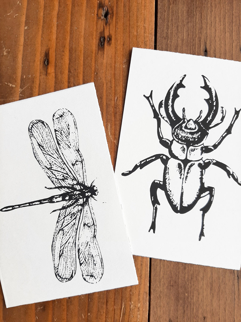 Edle Büttenpapier-Postkarten mit Libelle / Hirschkäfer, handbedruckte Unikate Siebdruck, 2er Set Klappkarten mit Briefumschlägen